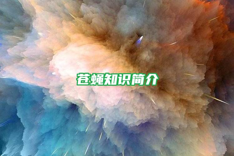 苍蝇知识简介