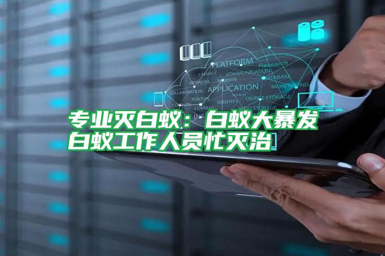 专业灭白蚁:白蚁大暴发白蚁工作人员忙灭治