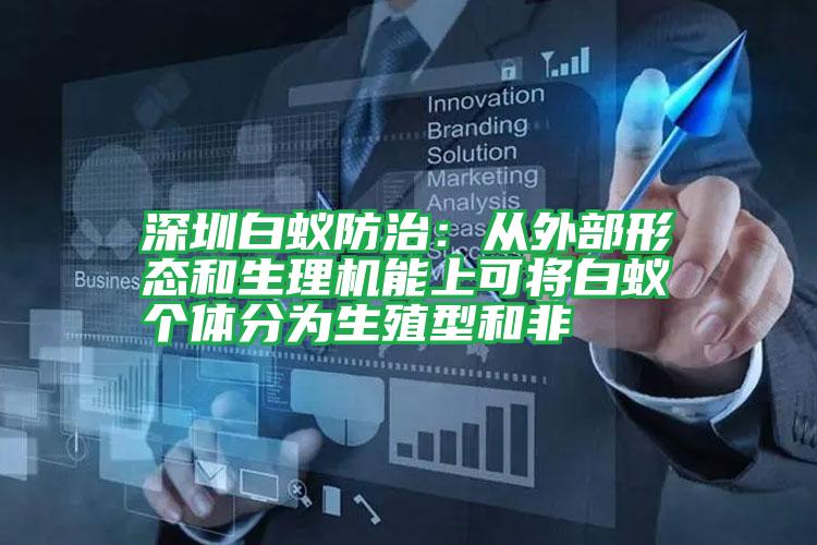 深圳白蚁防治:从外部形态和生理机能上可将白蚁个体分为生殖型和非