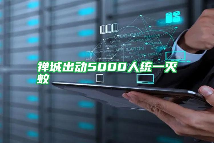 禅城出动5000人统一灭蚊