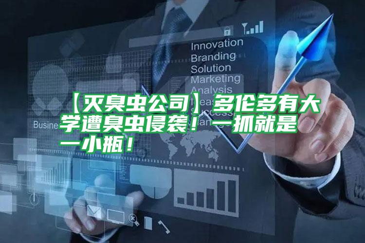【灭臭虫公司】多伦多有大学遭臭虫侵袭!一抓就是一小瓶!