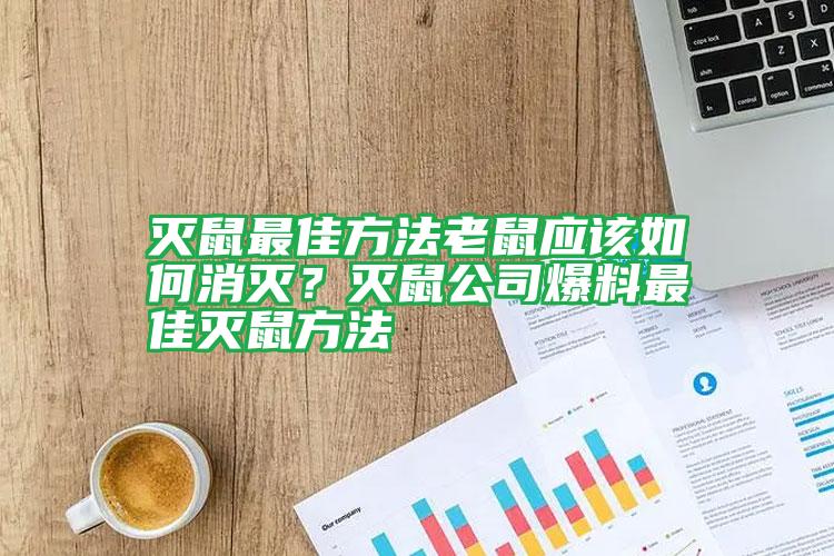 灭鼠最佳方法老鼠应该如何消灭?灭鼠公司爆料最佳灭鼠方法