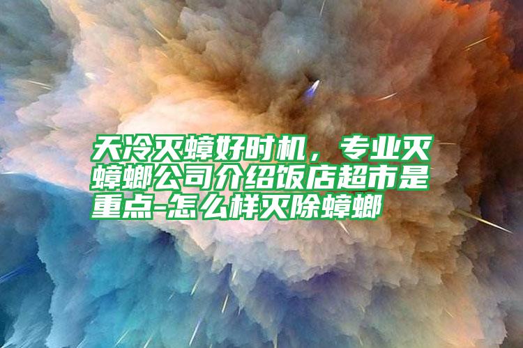 天冷灭蟑好时机,专业灭蟑螂公司介绍饭店超市是重点-怎么样灭除蟑螂