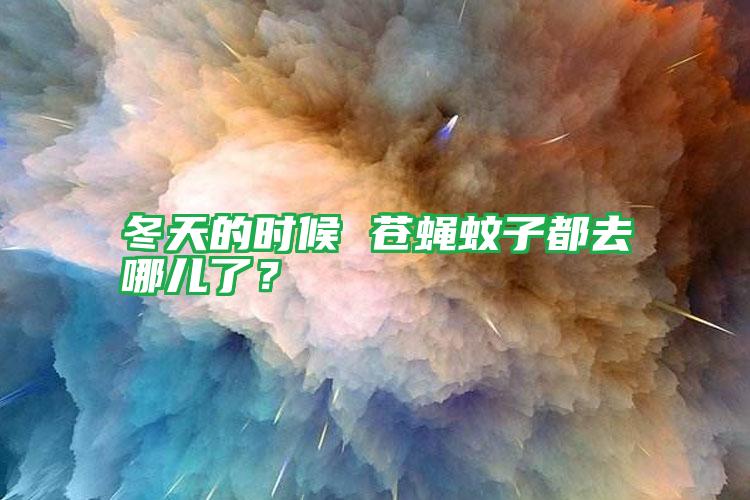 冬天的时候 苍蝇蚊子都去哪儿了?