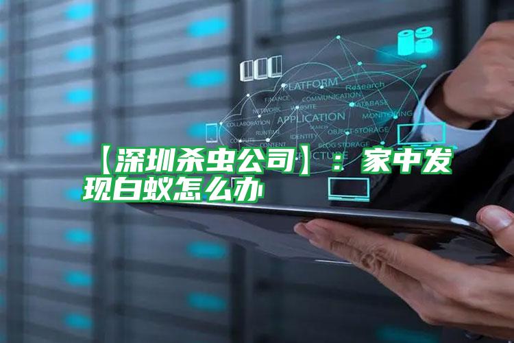 【深圳杀虫公司】:家中发现白蚁怎么办