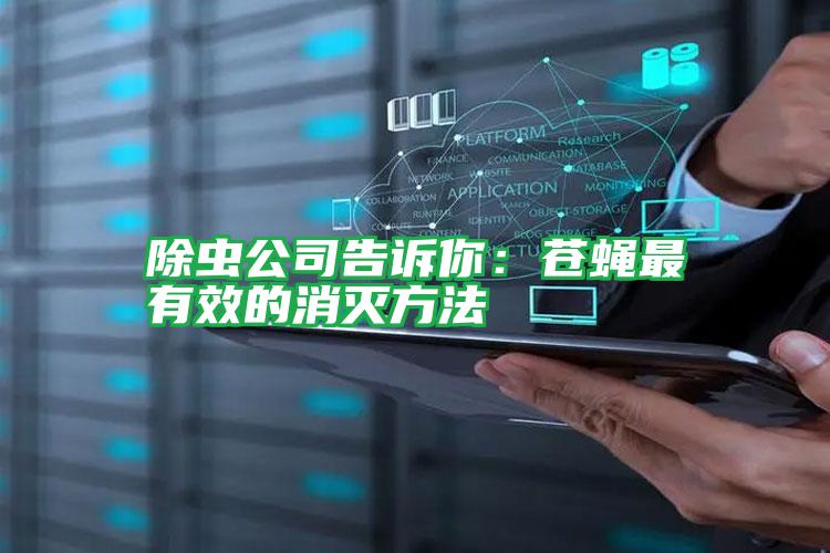 除虫公司告诉你:苍蝇最有效的消灭方法
