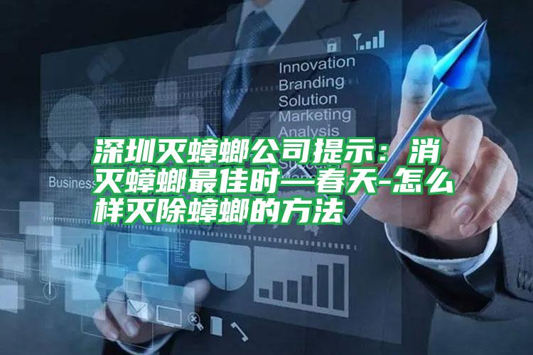 深圳灭蟑螂公司提示:消灭蟑螂最佳时—春天-怎么样灭除蟑螂的方法