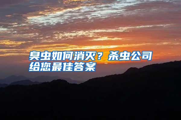 臭虫如何消灭?杀虫公司给您最佳答案