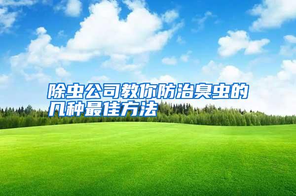 除虫公司教你防治臭虫的几种最佳方法
