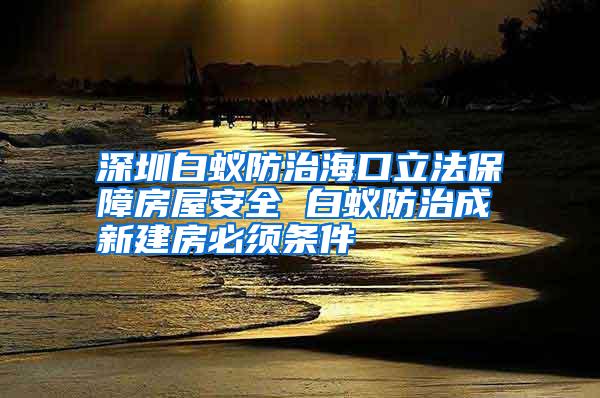 深圳白蚁防治海口立法保障房屋安全 白蚁防治成新建房必须条件