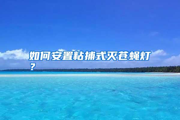 如何安置粘捕式灭苍蝇灯？