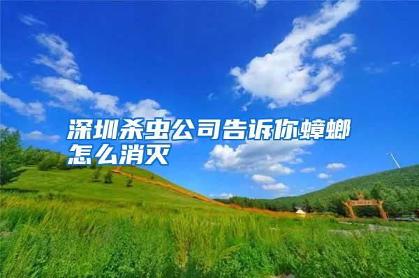 深圳杀虫公司告诉你蟑螂怎么消灭