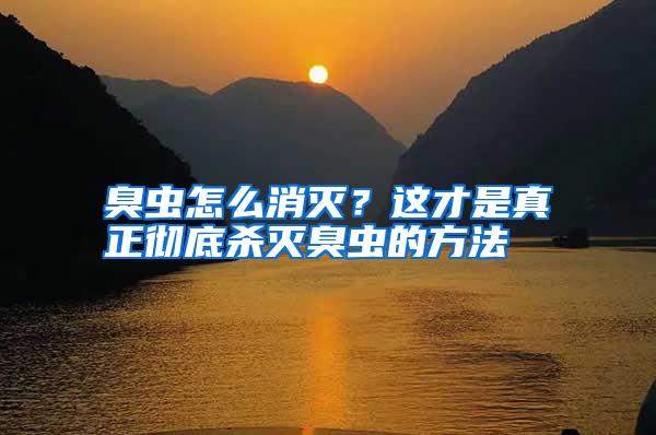 臭虫怎么消灭?这才是真正彻底杀灭臭虫的方法