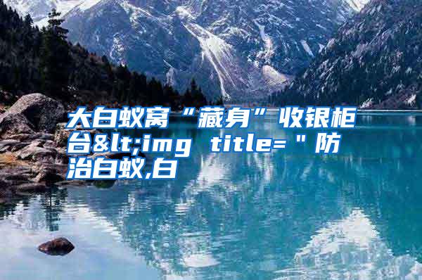 大白蚁窝“藏身”收银柜台<img title="防治白蚁,白