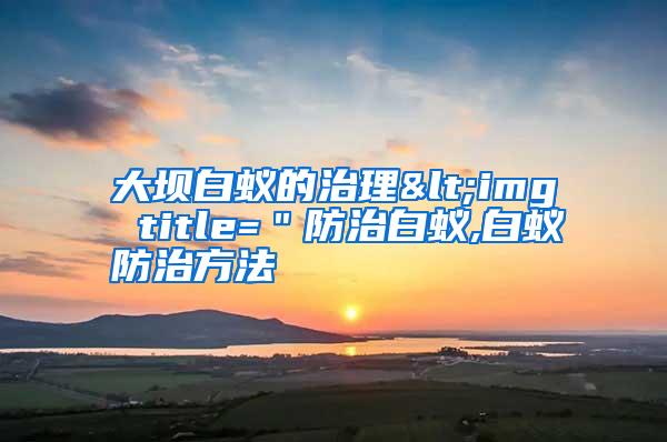 大坝白蚁的治理<img title=＂防治白蚁,白蚁防治方法