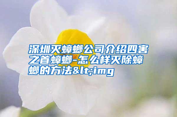 深圳灭蟑螂公司介绍四害之首蟑螂-怎么样灭除蟑螂的方法<img