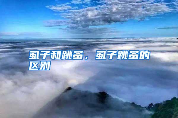 虱子和跳蚤,虱子跳蚤的区别