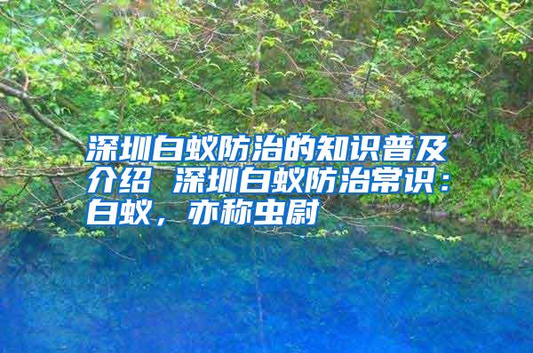 深圳白蚁防治的知识普及介绍 深圳白蚁防治常识：白蚁，亦称虫尉