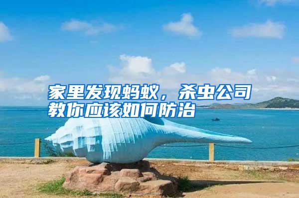 家里发现蚂蚁,杀虫公司教你应该如何防治