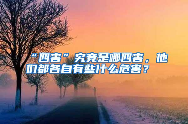 “四害”究竞是哪四害，他们都各自有些什么危害？