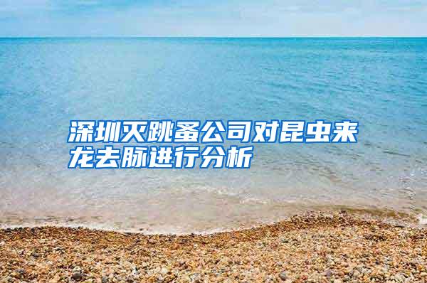 深圳灭跳蚤公司对昆虫来龙去脉进行分析