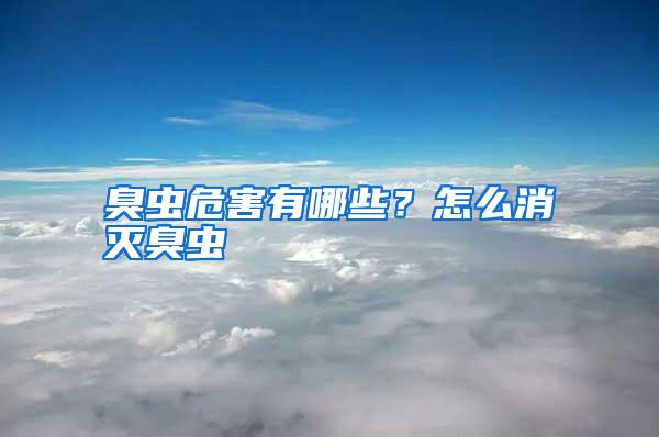 臭虫危害有哪些?怎么消灭臭虫