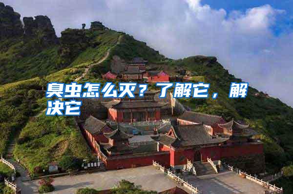 臭虫怎么灭?了解它,解决它