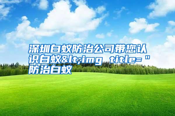 深圳白蚁防治公司带您认识白蚁<img title=＂防治白蚁