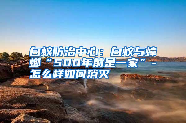 白蚁防治中心：白蚁与蟑螂“500年前是一家”-怎么样如何消灭