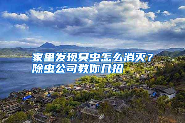 家里发现臭虫怎么消灭?除虫公司教你几招