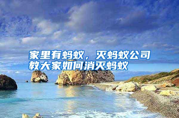 家里有蚂蚁,灭蚂蚁公司教大家如何消灭蚂蚁