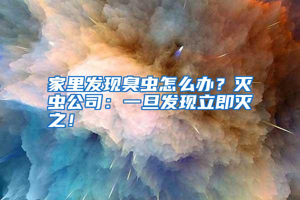 家里发现臭虫怎么办？灭虫公司：一旦发现立即灭之！