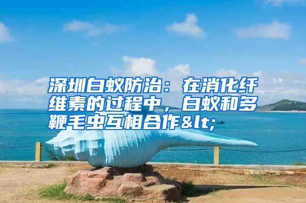 深圳白蚁防治：在消化纤维素的过程中，白蚁和多鞭毛虫互相合作<