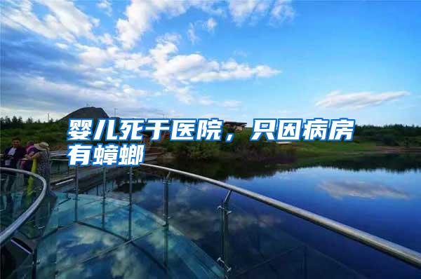 婴儿死于医院,只因病房有蟑螂