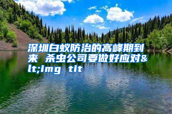 深圳白蚁防治的高峰期到来 杀虫公司要做好应对<img tit