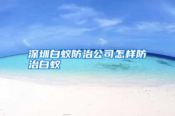 深圳白蚁防治公司怎样防治白蚁