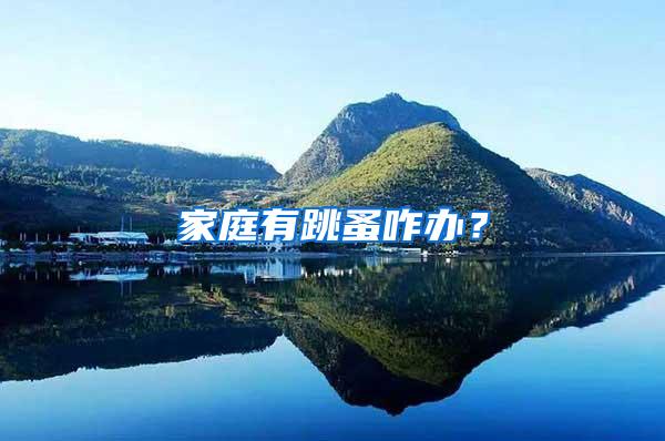 家庭有跳蚤咋办?
