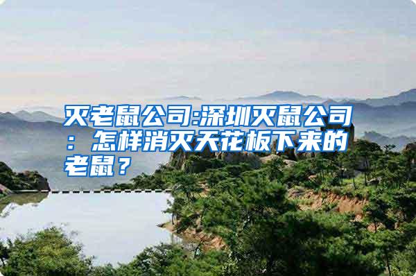 灭老鼠公司:深圳灭鼠公司：怎样消灭天花板下来的老鼠？