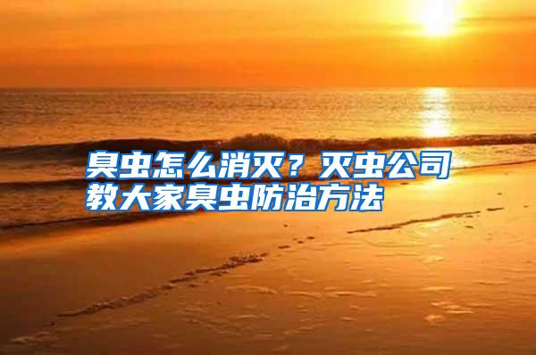 臭虫怎么消灭?灭虫公司教大家臭虫防治方法
