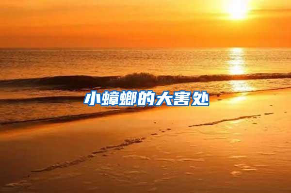 小蟑螂的大害处