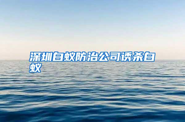 深圳白蚁防治公司诱杀白蚁