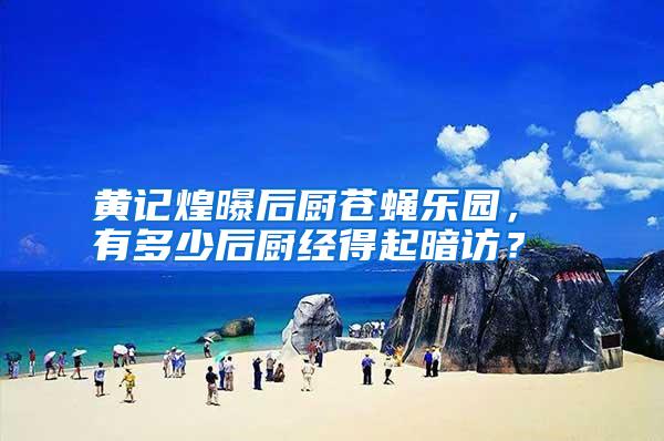 黄记煌曝后厨苍蝇乐园, 有多少后厨经得起暗访?