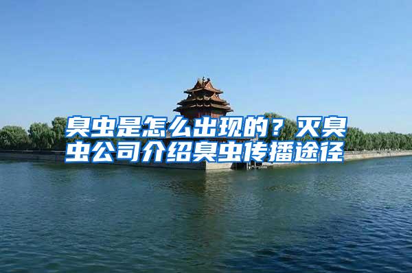 臭虫是怎么出现的?灭臭虫公司介绍臭虫传播途径