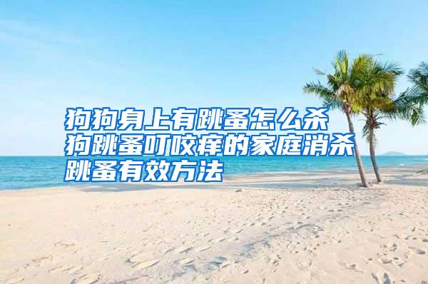 狗狗身上有跳蚤怎么杀 狗跳蚤叮咬痒的家庭消杀跳蚤有效方法