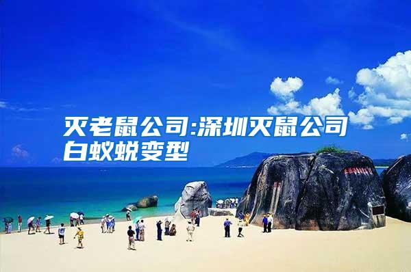 灭老鼠公司:深圳灭鼠公司白蚁蜕变型