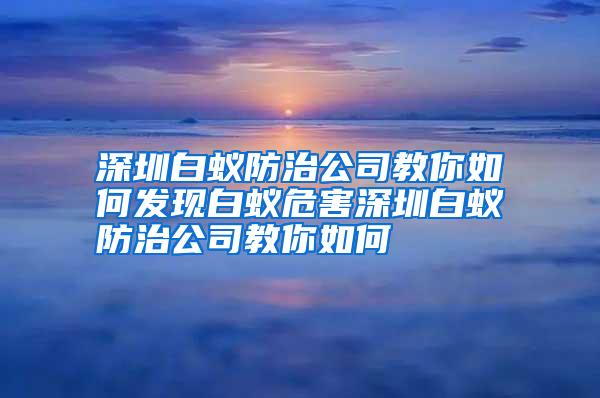 深圳白蚁防治公司教你如何发现白蚁危害深圳白蚁防治公司教你如何