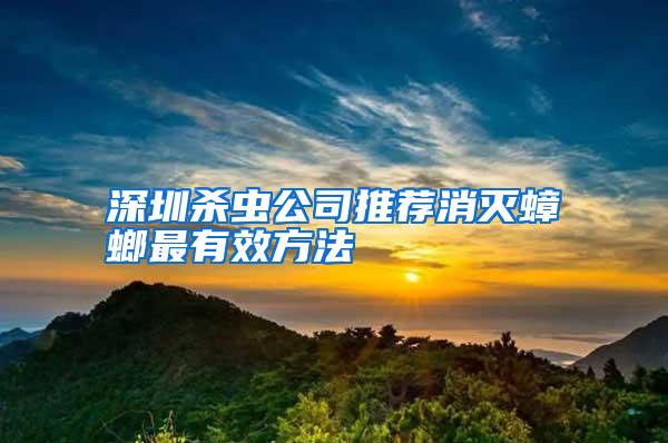 深圳杀虫公司推荐消灭蟑螂最有效方法