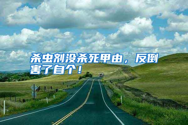 杀虫剂没杀死甲由,反倒害了自个!