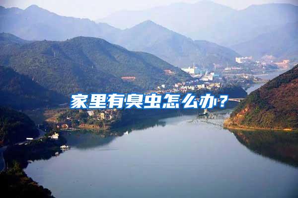 家里有臭虫怎么办?