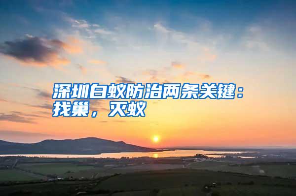 深圳白蚁防治两条关键：找巢，灭蚁